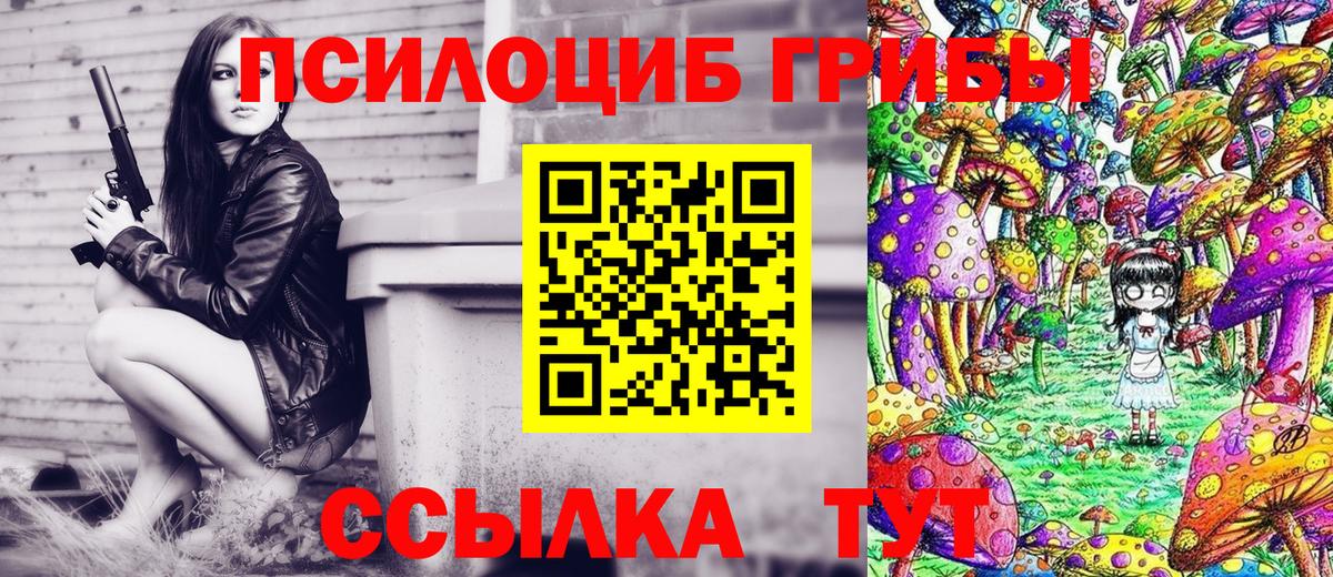 Лосино-Петровский  Галлюциногенные грибы Cubensis  закладка  Вход с VPN 