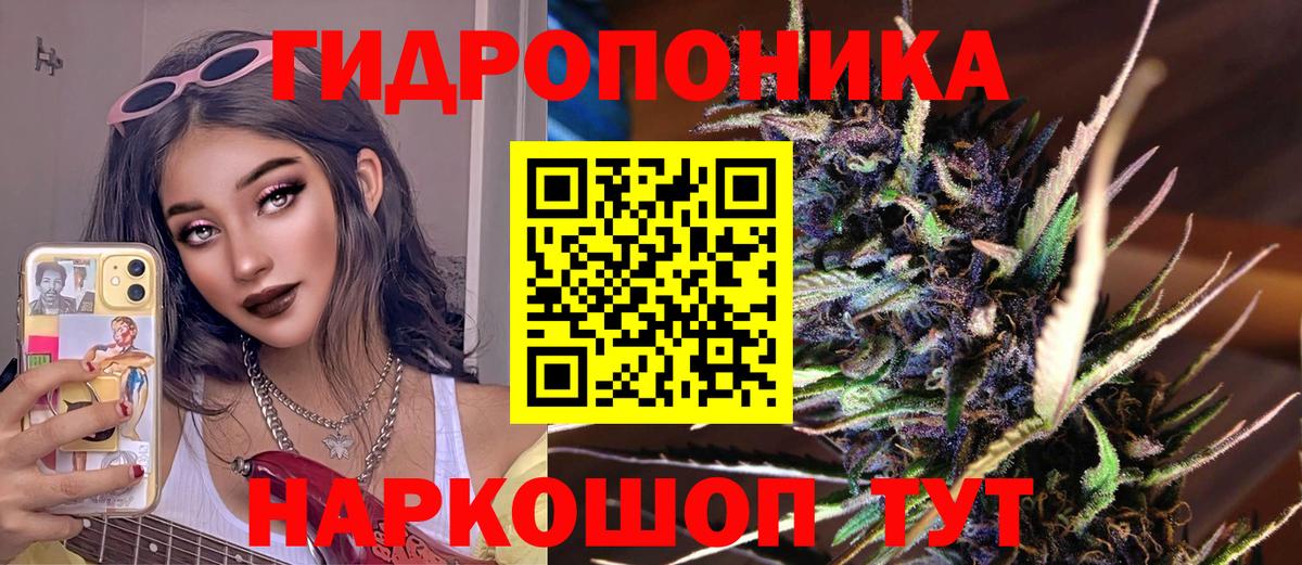 Каннабис индика Лосино-Петровский